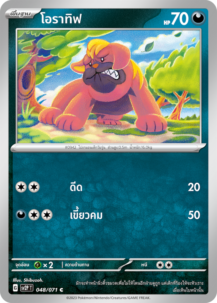 048 071 SV2P T Snow Hazard Oratif (C)