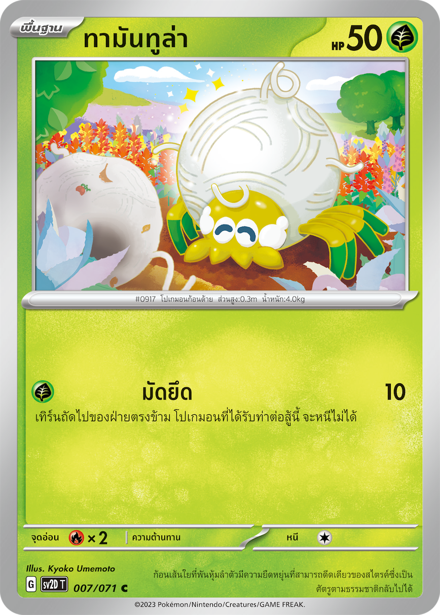 007 071 SV2D-T Thai Clayburst Tamantula (C)