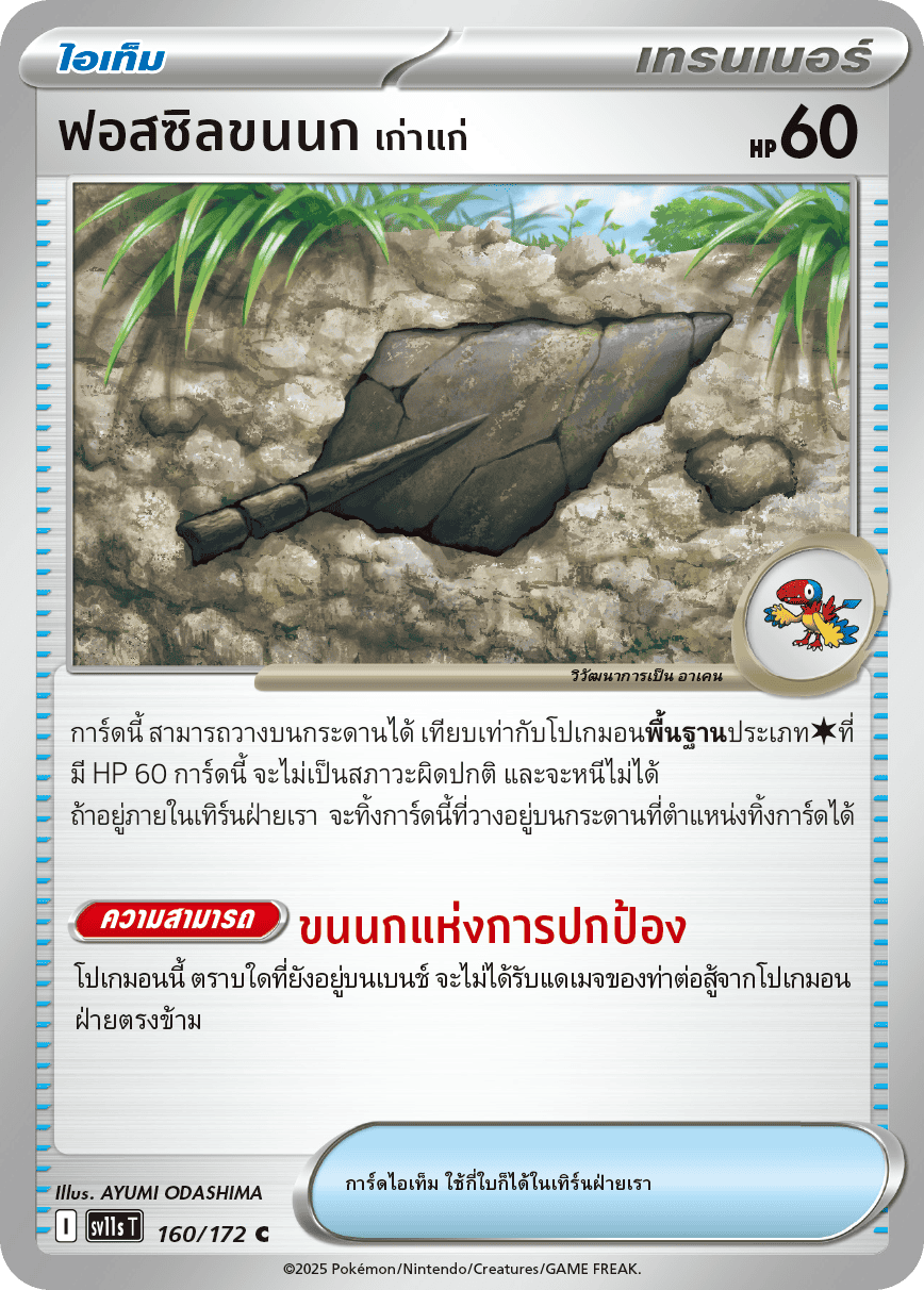 160/172 SV11s THAI Black & White Ancient feather fossils (C)