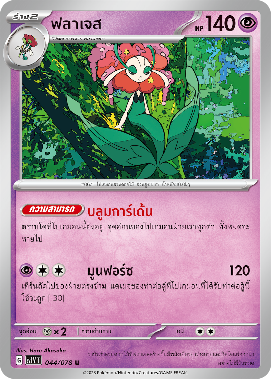 044/078 SV1V T VIOLET THAI  Flajes (U)