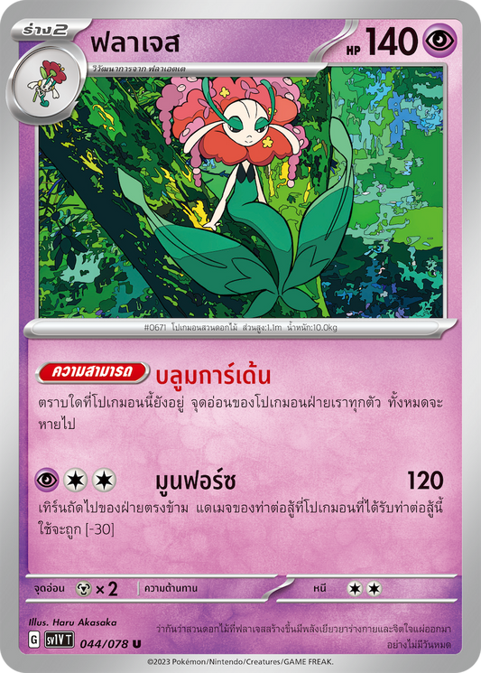 044/078 SV1V T VIOLET THAI  Flajes (U)