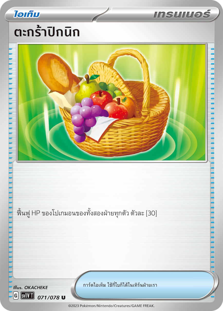 071/078 SV1V T VIOLET THAI  Picnic basket (U)