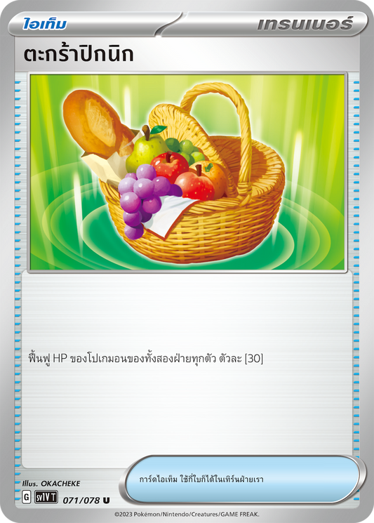 071/078 SV1V T VIOLET THAI  Picnic basket (U)