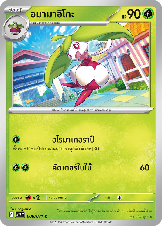 008 071 SV2P T Snow Hazard Amamaiko (C)