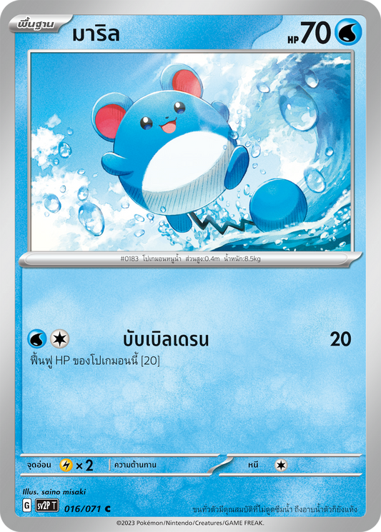 016 071 SV2P T Snow Hazard Maril (C)