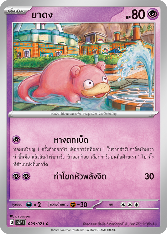 029 071 SV2P T D Snow Hazard Snow Hazard ong medicine (C)