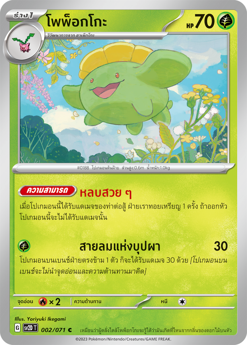 002 071SV2D-T Thai Clayburst Popokko (C)