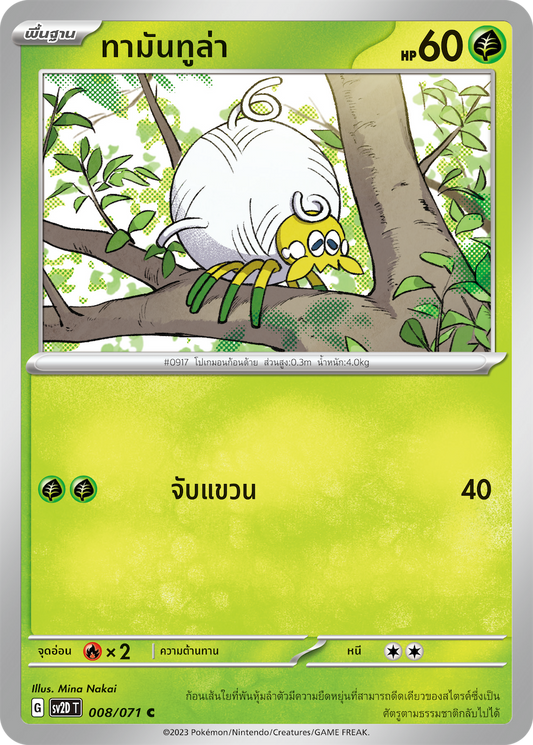 008 071 SV2D-T Thai Clayburst Tamantula(C)