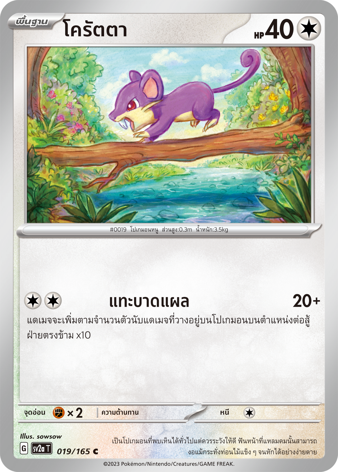 019/165 OFFICIAL THAI Scarlett & Violet 151 Rattata Common