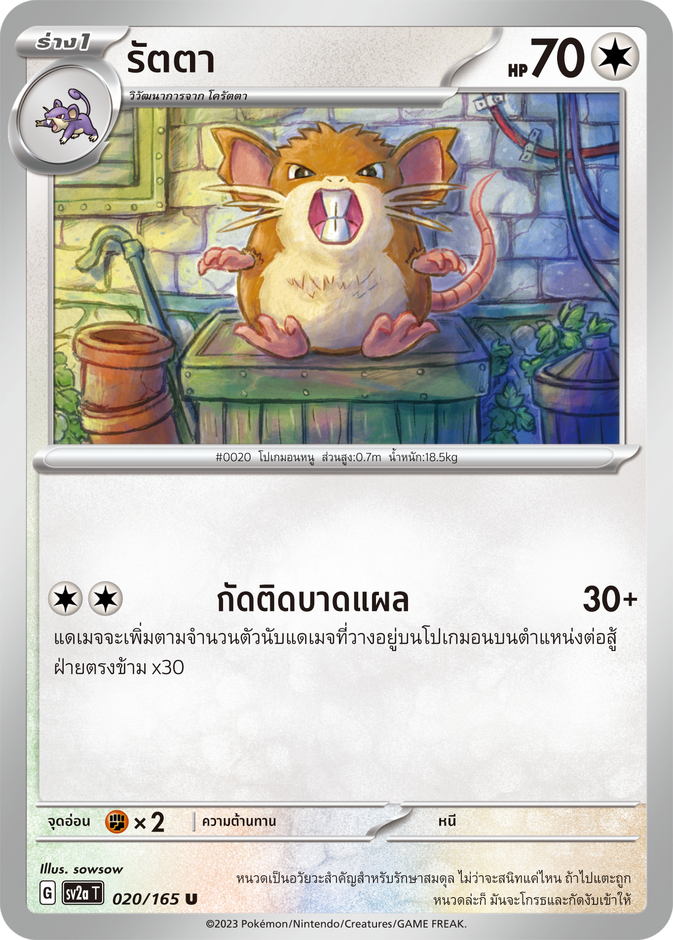 020/165 OFFICIAL THAI Scarlett & Violet 151 Raticate Uncommon