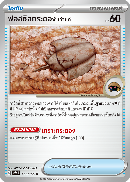 155/165 SV2a T 151 Ancient shell fossil (C)