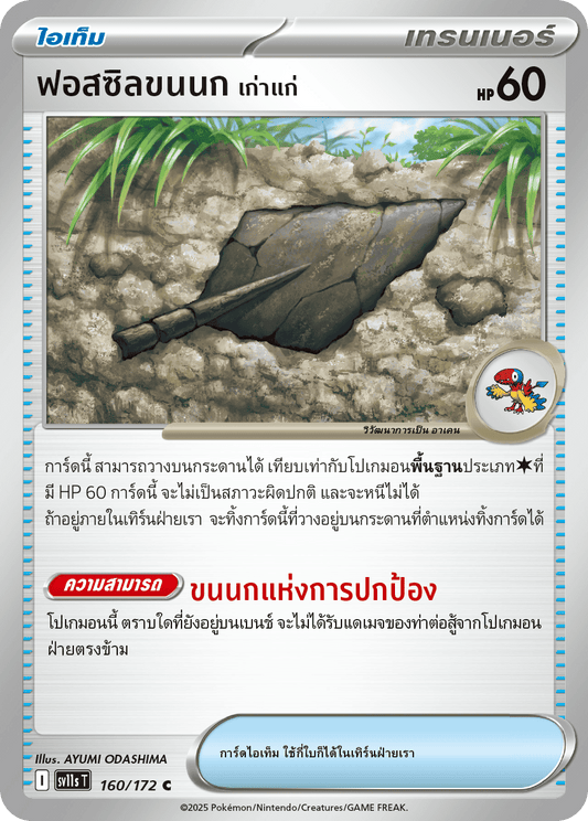 160/172 SV11s THAI Black & White  Ancient feather fossils (C)