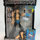 Jakks Pacific Deluxe Aggression Series 9 Jimmy Wang Yang - Action Figure
